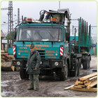 20112308100828-lesy_foto_06m.jpg
